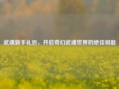 武魂新手礼包，开启奇幻武魂世界的绝佳钥匙