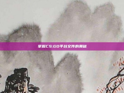 掌握CS:GO平台文件的奥秘