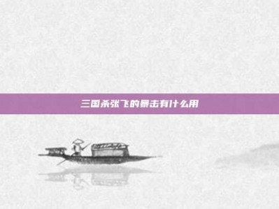 三国杀张飞的暴击有什么用