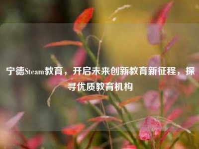 宁德Steam教育，开启未来创新教育新征程，探寻优质教育机构