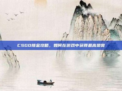 CSGO排金攻略，如何在游戏中获得最高荣誉