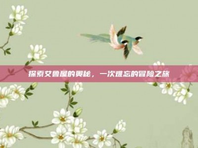 探索艾鲁屋的奥秘，一次难忘的冒险之旅