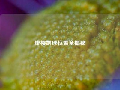 绯樱绣球位置全揭秘