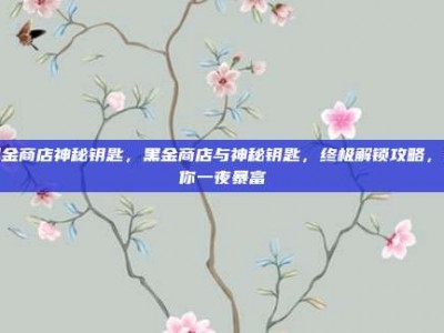 黑金商店神秘钥匙，黑金商店与神秘钥匙，终极解锁攻略，让你一夜暴富