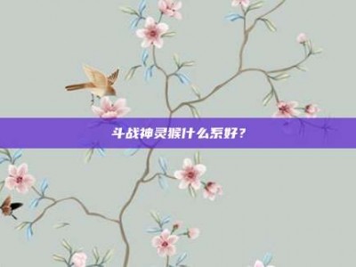 斗战神灵猴什么系好？