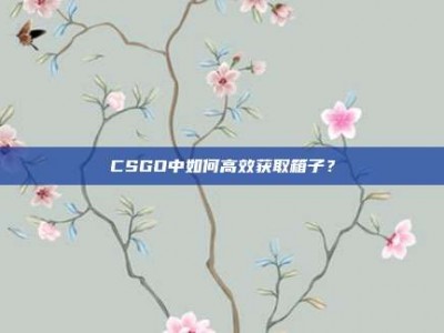 CSGO中如何高效获取箱子？
