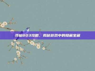 寻仙803攻略，揭秘游戏中的隐藏宝藏