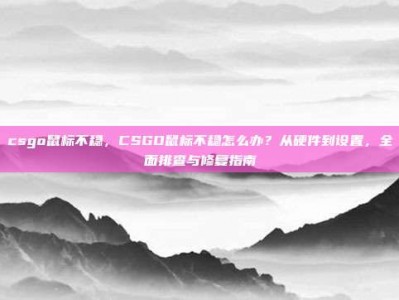 csgo鼠标不稳，CSGO鼠标不稳怎么办？从硬件到设置，全面排查与修复指南
