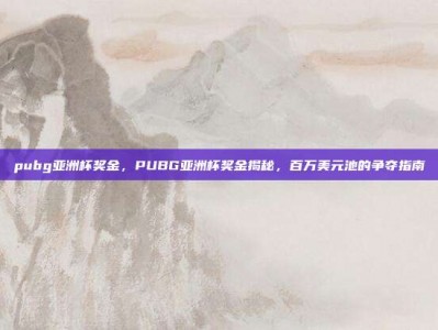 pubg亚洲杯奖金，PUBG亚洲杯奖金揭秘，百万美元池的争夺指南