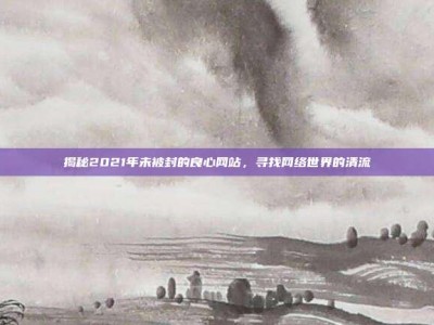 揭秘2021年未被封的良心网站，寻找网络世界的清流
