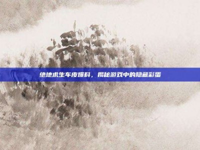 绝地求生车皮爆料，揭秘游戏中的隐藏彩蛋