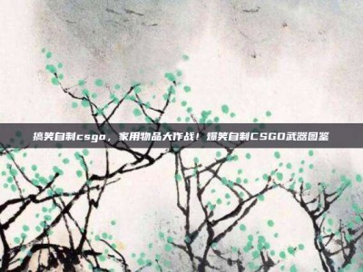 搞笑自制csgo，家用物品大作战！爆笑自制CSGO武器图鉴