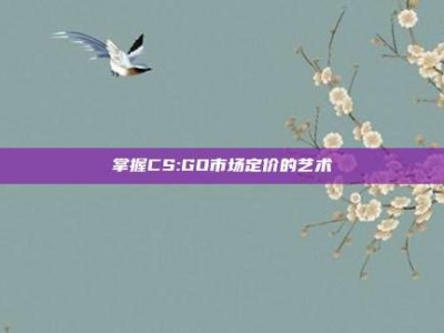 掌握CS:GO市场定价的艺术
