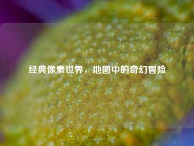 经典像素世界，地图中的奇幻冒险