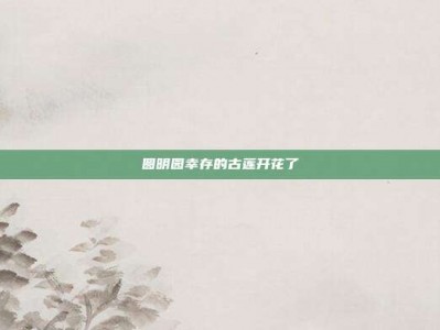 圆明园幸存的古莲开花了