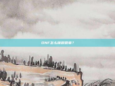 DNF怎么镶嵌徽章？