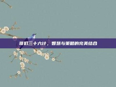 哥们三十六计，智慧与策略的完美结合