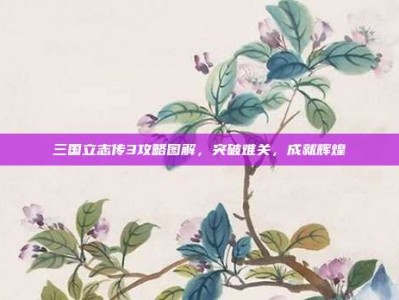 三国立志传3攻略图解，突破难关，成就辉煌