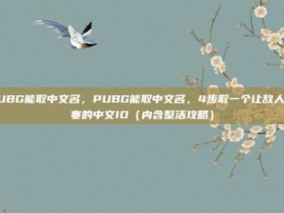 PUBG能取中文名，PUBG能取中文名，4步取一个让敌人胆寒的中文ID（内含整活攻略）