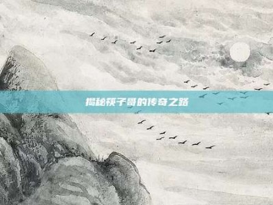揭秘筷子哥的传奇之路