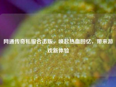网通传奇私服合击版，唤起热血回忆，带来游戏新体验
