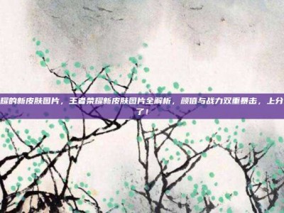 王者荣耀的新皮肤图片，王者荣耀新皮肤图片全解析，颜值与战力双重暴击，上分就靠它了！