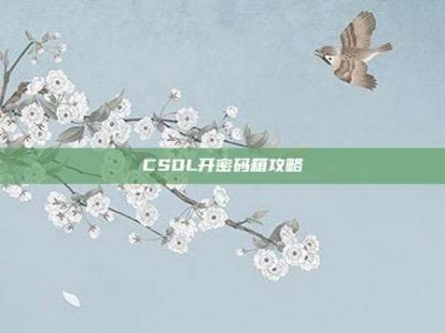 CSOL开密码箱攻略