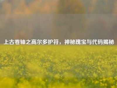 上古卷轴之高尔多护符，神秘瑰宝与代码揭秘
