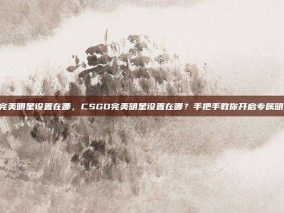csgo完美明星设置在哪，CSGO完美明星设置在哪？手把手教你开启专属明星标志