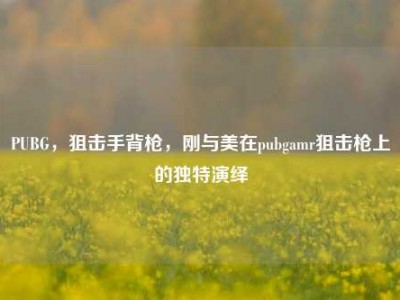 PUBG，狙击手背枪，刚与美在pubgamr狙击枪上的独特演绎
