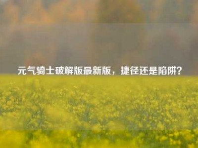 元气骑士破解版最新版，捷径还是陷阱？