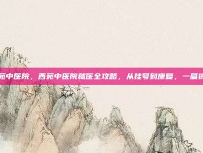 西苑中医院，西苑中医院就医全攻略，从挂号到康复，一篇搞定