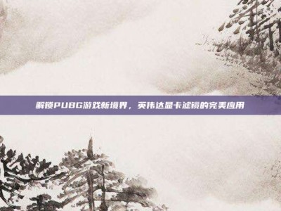 解锁PUBG游戏新境界，英伟达显卡滤镜的完美应用