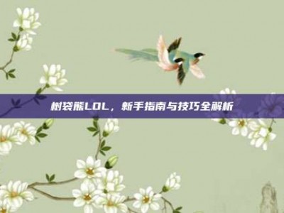 树袋熊LOL，新手指南与技巧全解析