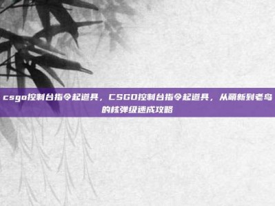 csgo控制台指令起道具，CSGO控制台指令起道具，从萌新到老鸟的核弹级速成攻略