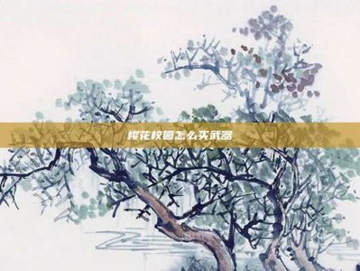 樱花校园怎么买武器