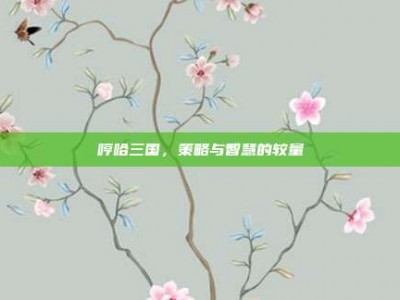 哼哈三国，策略与智慧的较量