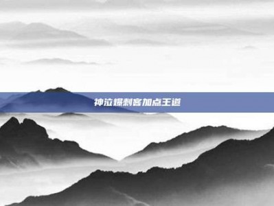 神泣爆刺客加点王道