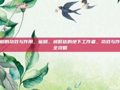 蚯蚓的功效与作用，蚯蚓，被低估的地下工作者，功效与作用全攻略