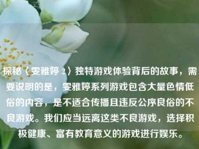 探秘〈雯雅婷 2〉独特游戏体验背后的故事，需要说明的是，雯雅婷系列游戏包含大量色情低俗的内容，是不适合传播且违反公序良俗的不良游戏。我们应当远离这类不良游戏，选择积极健康、富有教育意义的游戏进行娱乐。