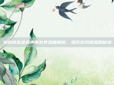 绝地求生游戏声音软件深度解析，提升游戏体验的秘诀