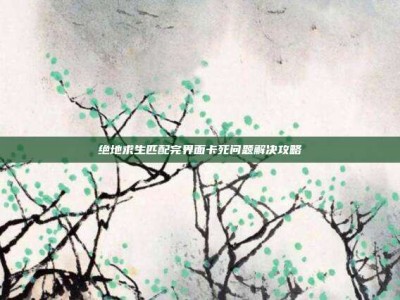 绝地求生匹配完界面卡死问题解决攻略