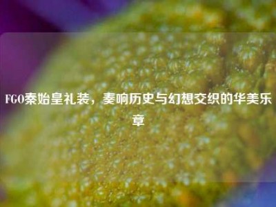 FGO秦始皇礼装，奏响历史与幻想交织的华美乐章