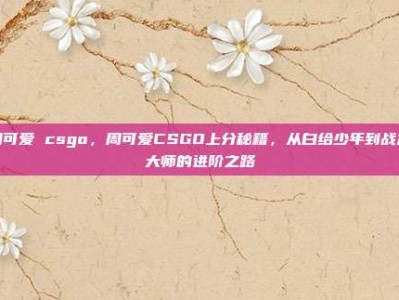 周可爱 csgo，周可爱CSGO上分秘籍，从白给少年到战术大师的进阶之路