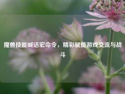 魔兽技能喊话宏命令，精彩赋能游戏交流与战斗