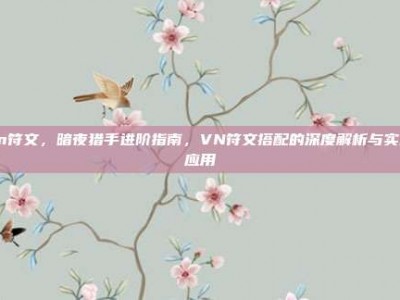 vn符文，暗夜猎手进阶指南，VN符文搭配的深度解析与实战应用