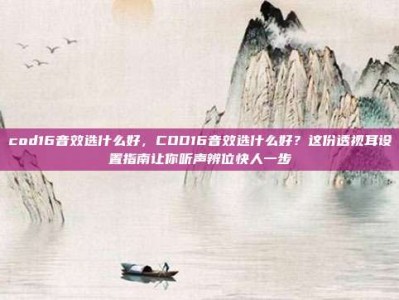 cod16音效选什么好，COD16音效选什么好？这份透视耳设置指南让你听声辨位快人一步