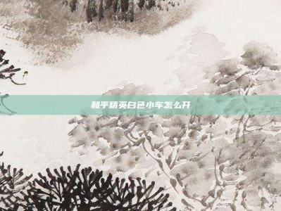 和平精英白色小车怎么开