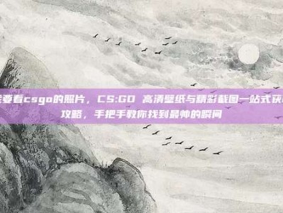 我要看csgo的照片，CS:GO 高清壁纸与精彩截图一站式获取攻略，手把手教你找到最帅的瞬间