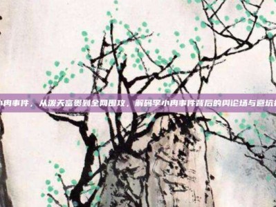 李小冉事件，从泼天富贵到全网围攻，解码李小冉事件背后的舆论场与避坑指南